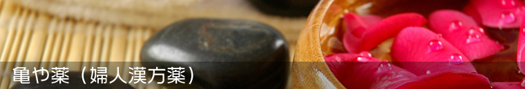 �T���i�w�l������j